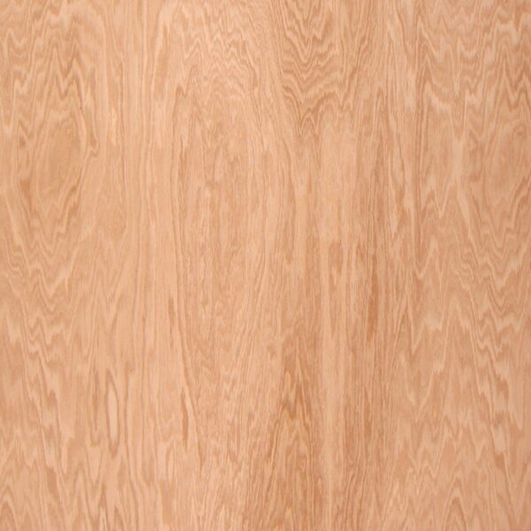 Red Oak Ply