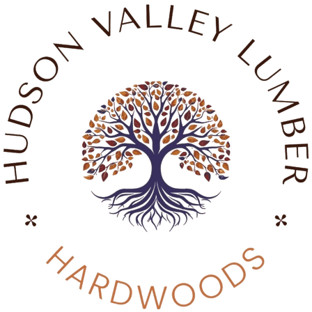 LOGO_HVL_VistaPrint